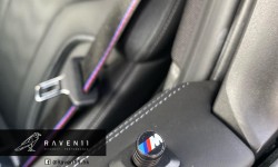 BMW Door Locking Pins (Set of 2)