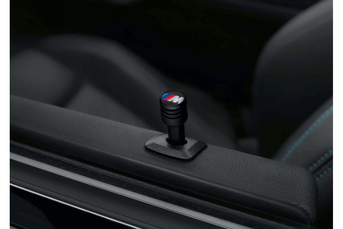 BMW Door Locking Pins