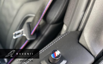 BMW Door Locking Pins (Set of 2)