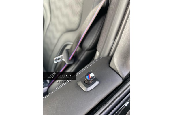 BMW Door Locking Pins (Set of 2)